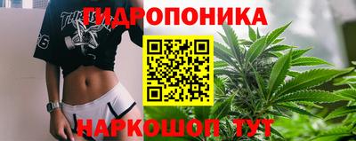 spice Гусиноозёрск