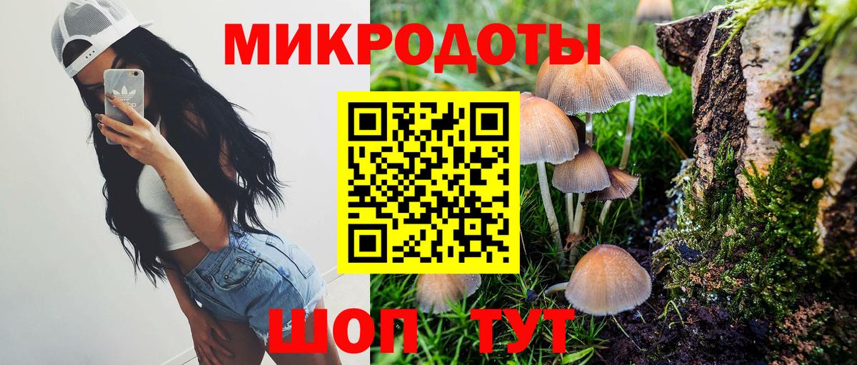 Галлюциногенные грибы Cubensis Мурино
