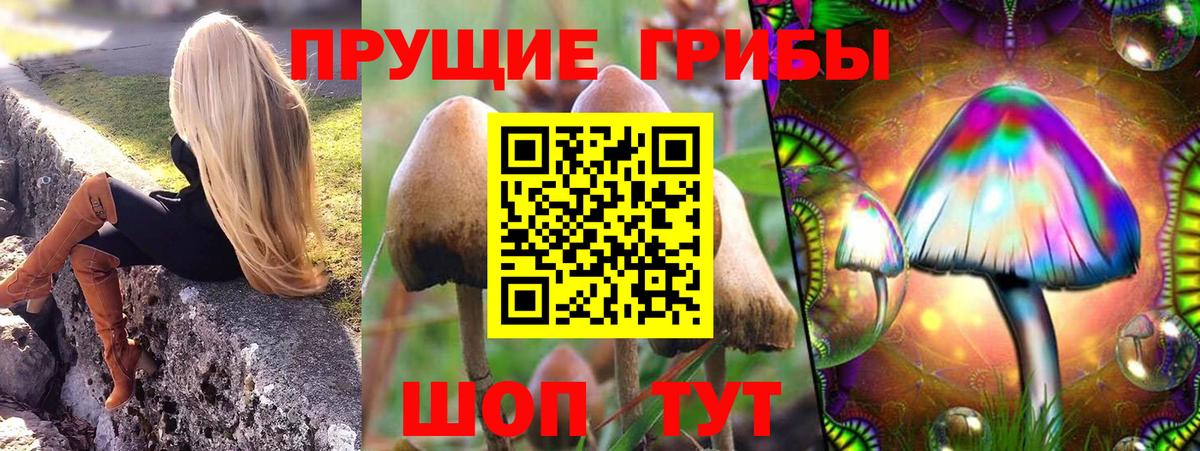 КОКАИН Мурино
